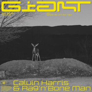 Calvin Harris ft. Rag'n'Bone Man